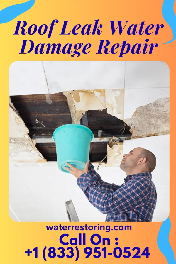 Roof Leak Water Damage Repair in Monte Sereno, CA